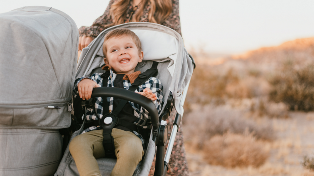 bugaboo donkey duo 2019