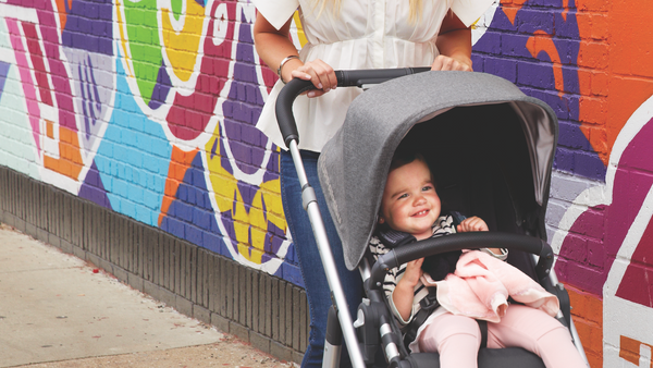 what car seat fits uppababy cruz