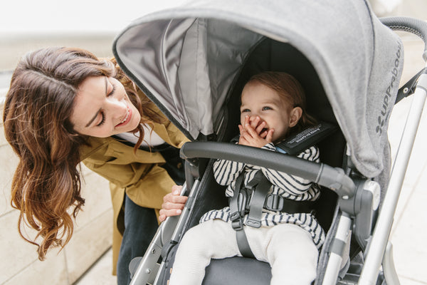 what does the uppababy vista come with