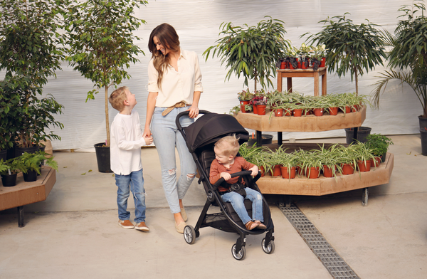 overhead compartment stroller