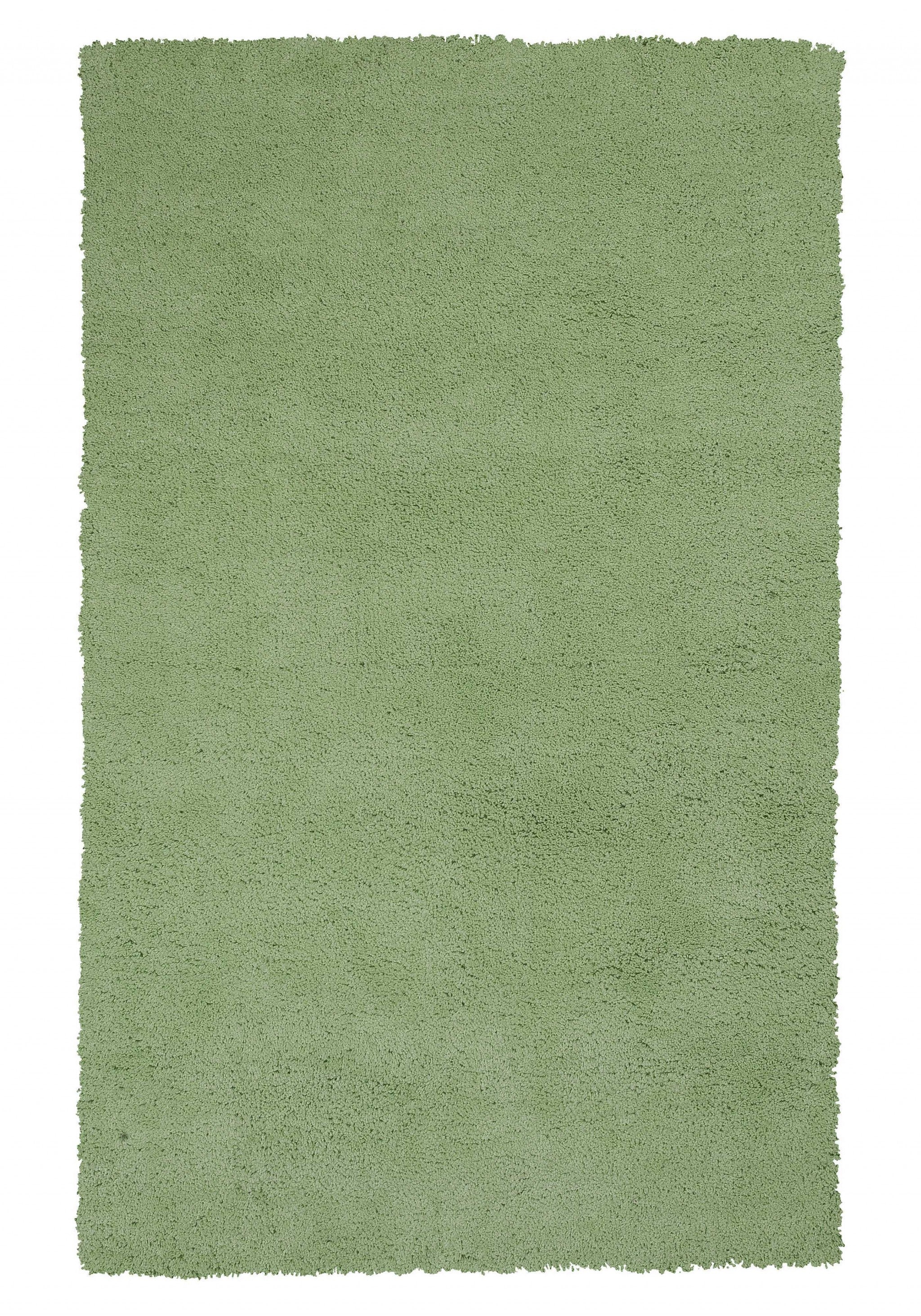 2'X4' Spearmint Green Indoor Shag Rug 2'X4' Spearmint Green Indoor Shag Rug