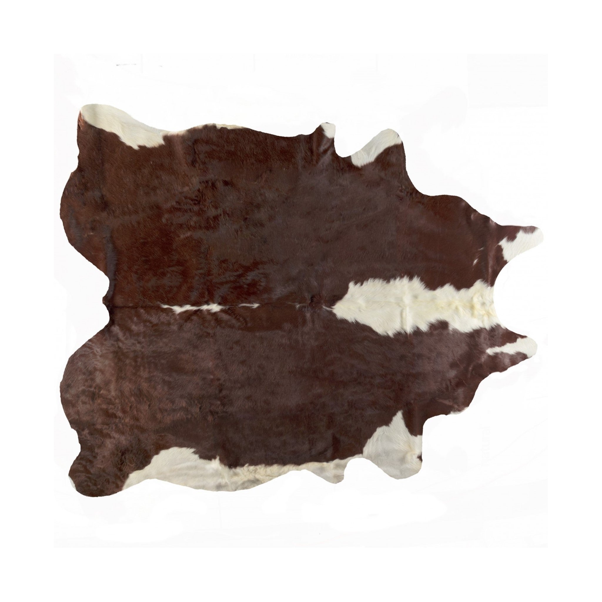 6' X 7' Brown And White Natural Cowhide Area Rug 6' X 7' Brown And White