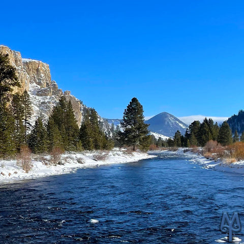 Gallatin River, above Taylor Fork, New Year's Day, 2022