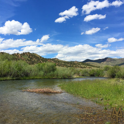 Junne on the Beaverhead River, photo by Montana Treasures