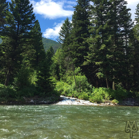 Early summer on the Gallatin River, near Cascade Creek, photo by Montana Treasures