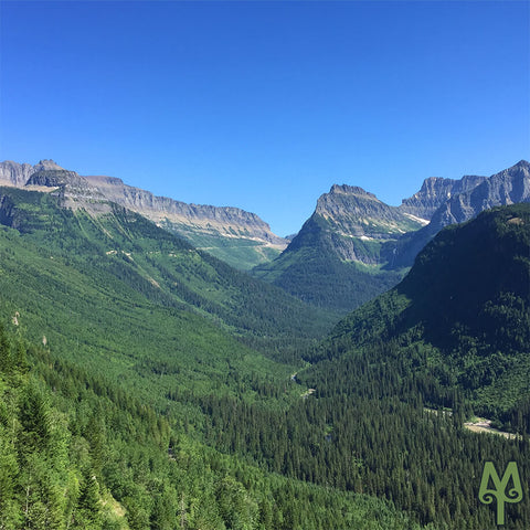 Summer in Glacier National Park, Going To The Sun road