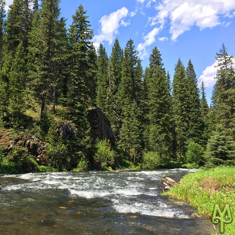 Langohr Campground, Hyalite Canyon, Bozeman, Montana, photo by Montana Treasures