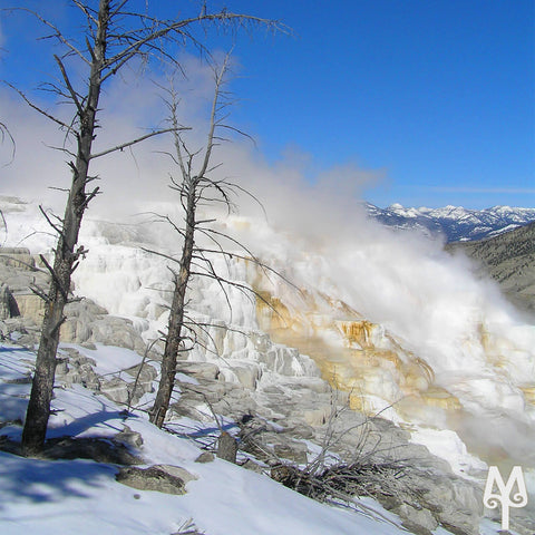 Early Spring at Mammoth Hot Springs, Yellowstone National Park