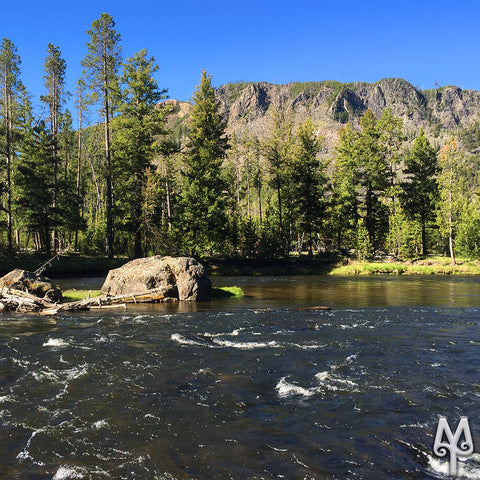 The Madison River inside Yellowstone national Park, photo by Montana Treasures