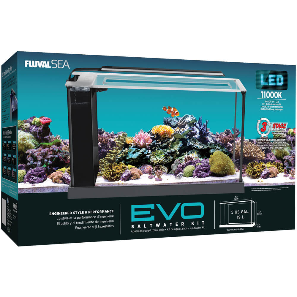 fluval 13.5 gallon evo xii marine aquarium kit