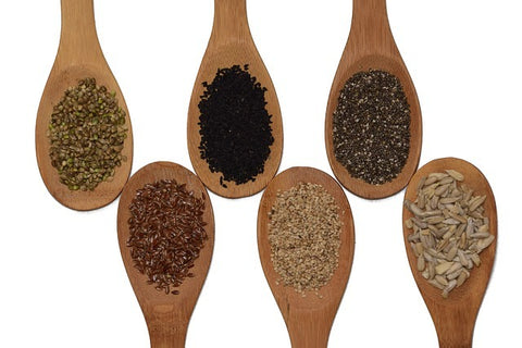 Types of Seeds | Seeds Image