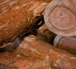 Hardwood Logs FF