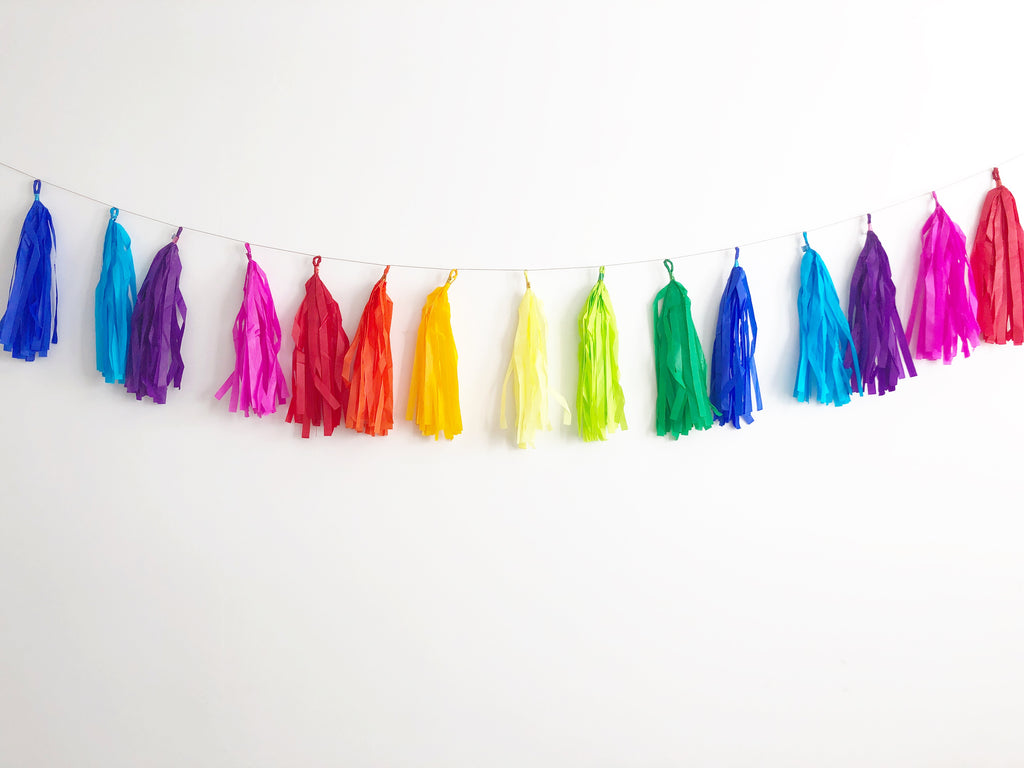 rainbow tassel garland