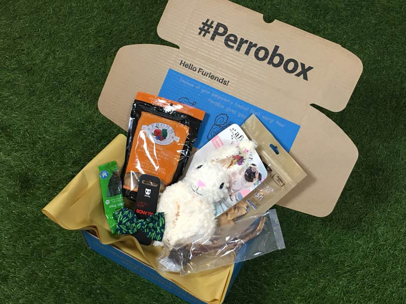 dog subscription box singapore