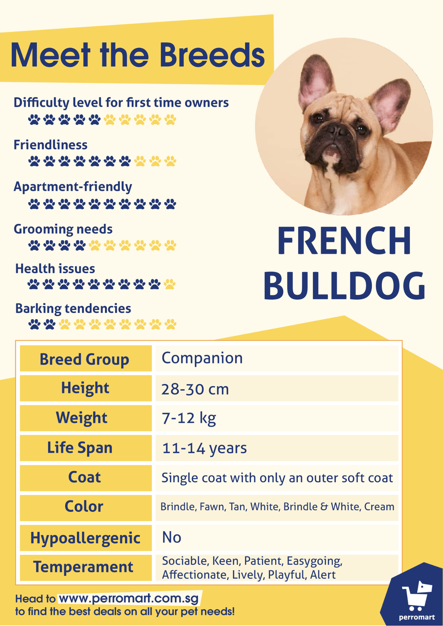 Meet The Breeds: French Bulldog | perrobook