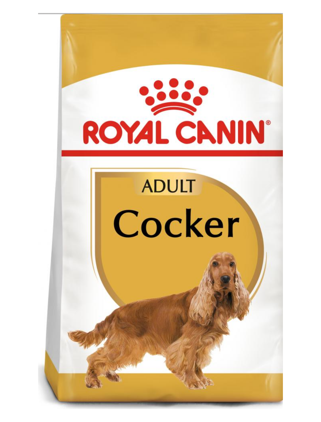 royal canin renal beef pouches