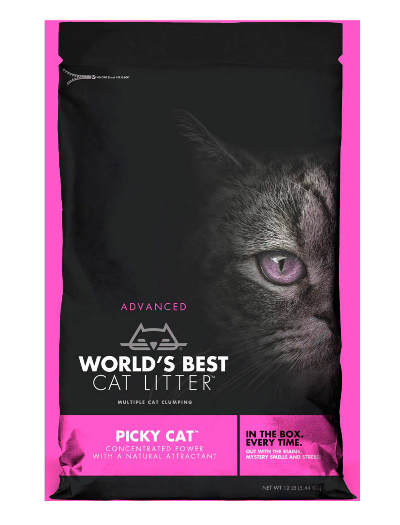 best wet cat food for finicky cats