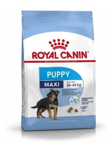 royal canin maxi 5 15kg