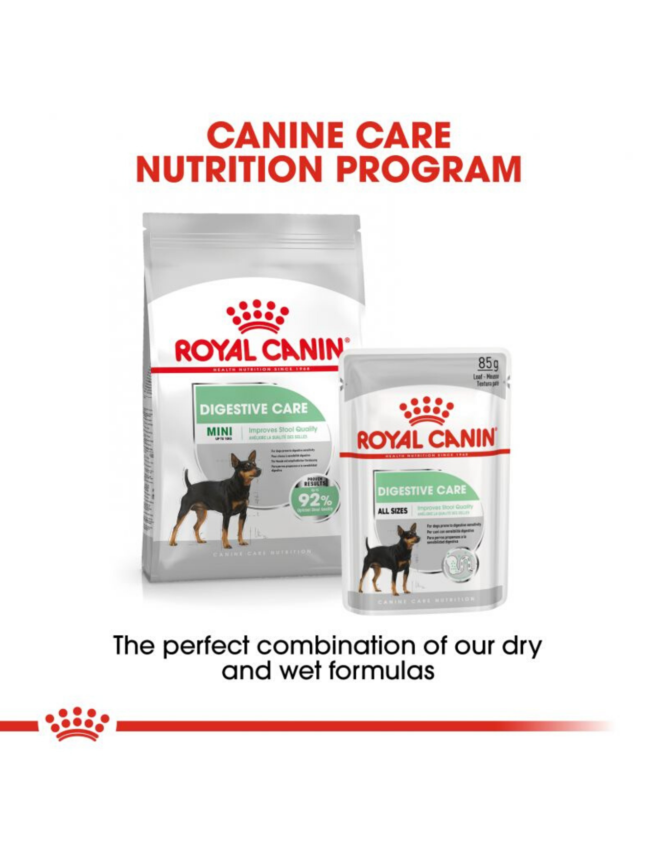 royal canin mini digestive