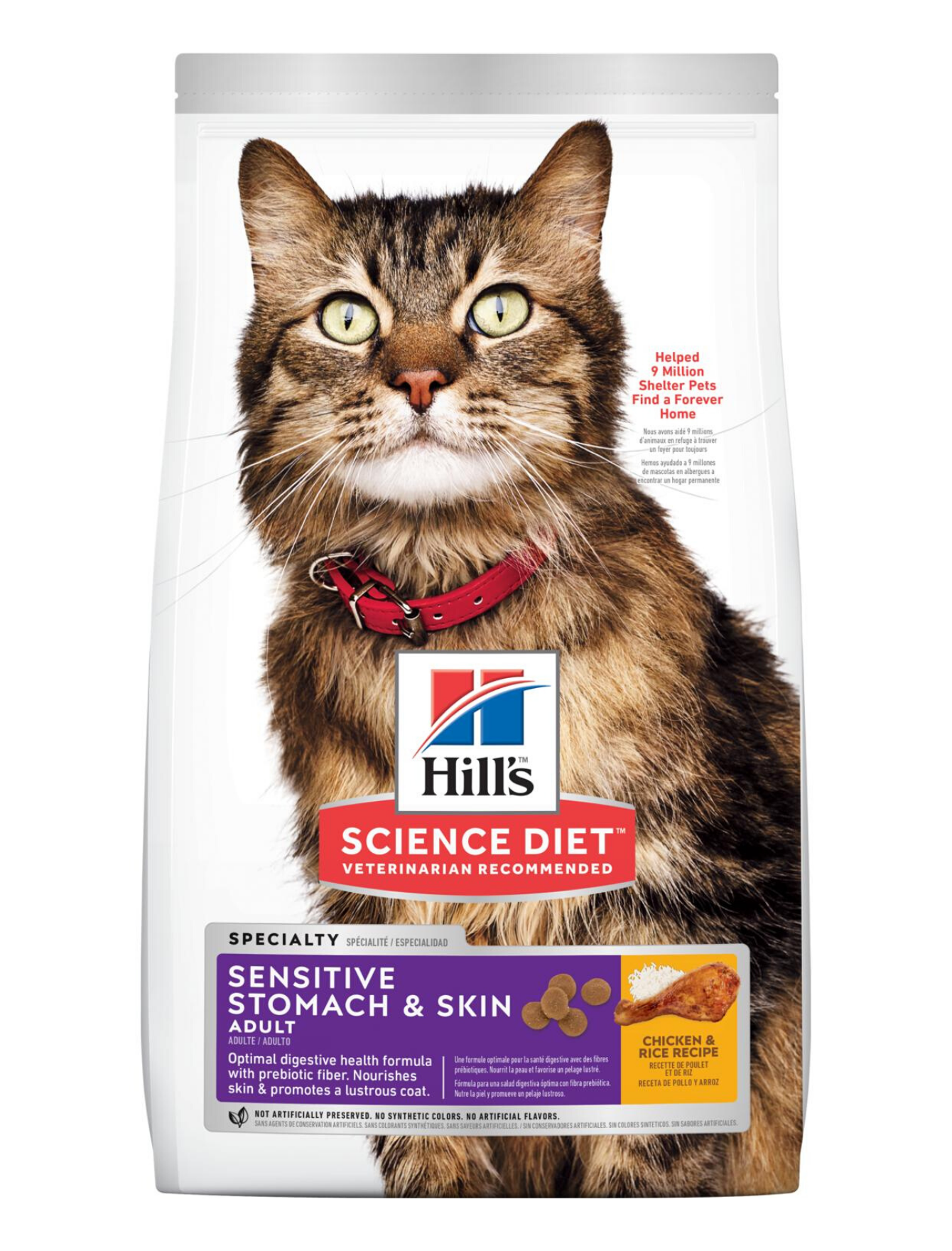 hills feline food