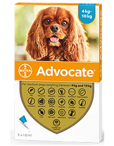 advocate for dogs for sale