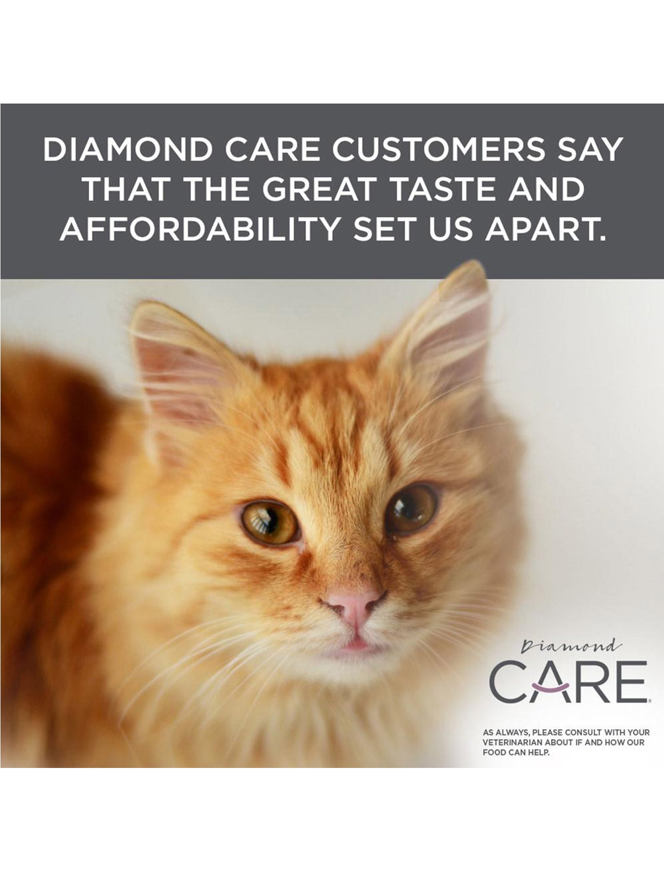 diamond care urinary cat food