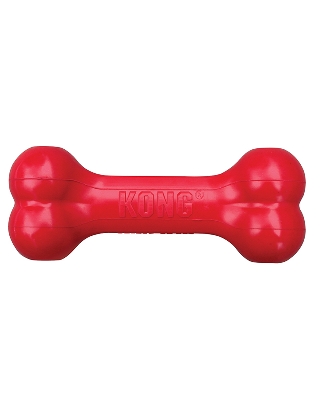 big dog bone toy