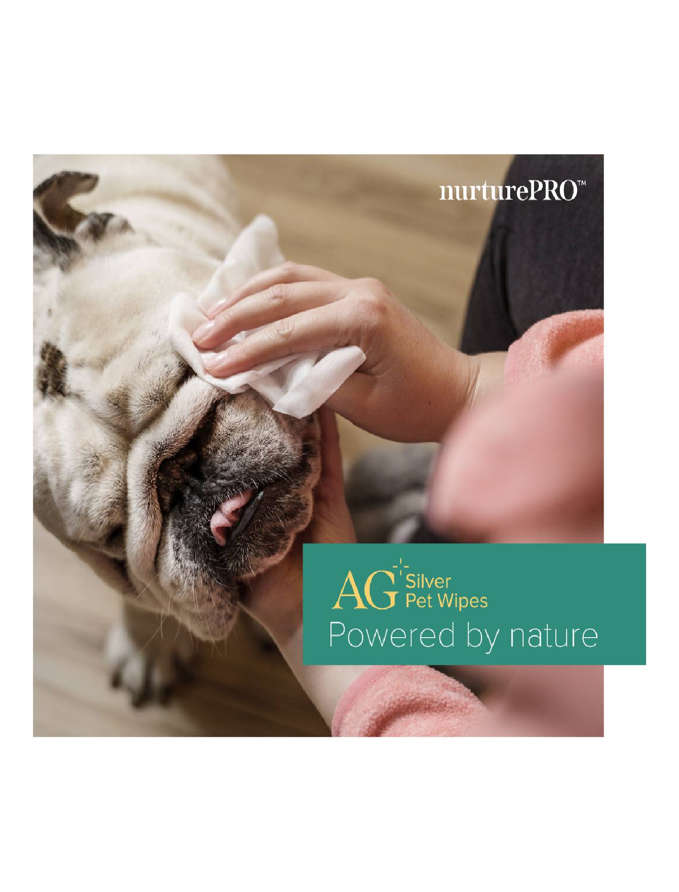 AG+ Silver Pet Wipes Unscented - Nurture Pro