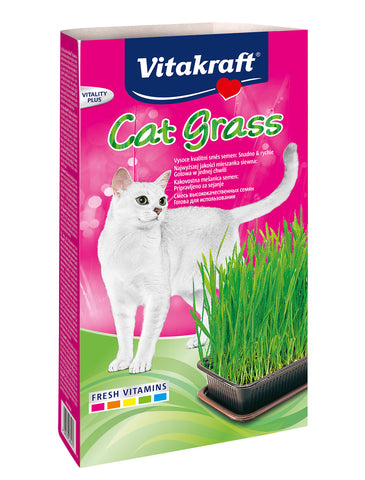 Diy Kinda Hydroponic Cat Grass Fish Tank Catnip Marinator Cat Toy Tutorials Chickfilamomsdiy Cat Grass Betta Fish Toys Cat Toys