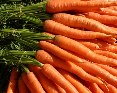 carrots