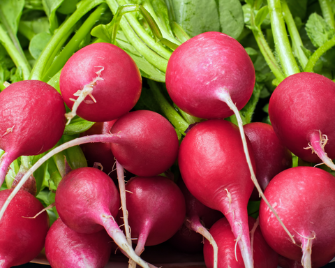 radish, produce