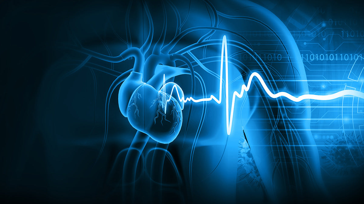 Artificial Biological Heart
