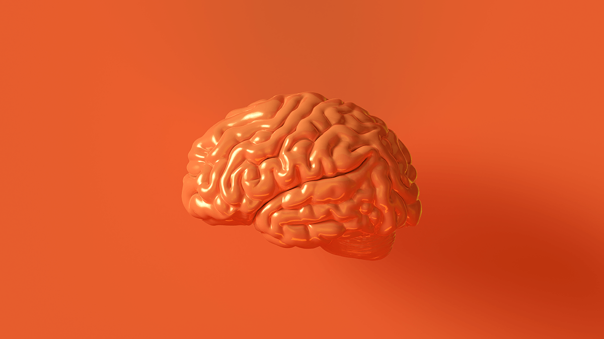 Brain