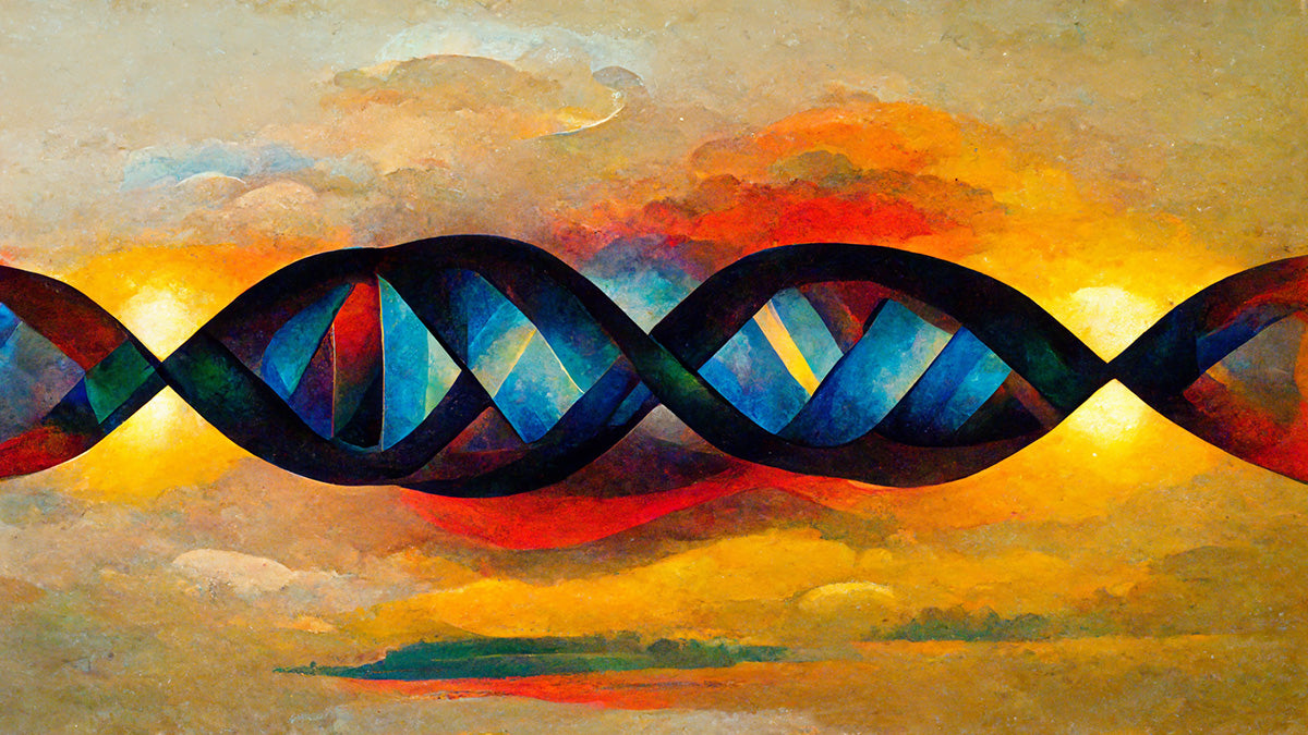 DNA Chromosome Fusion