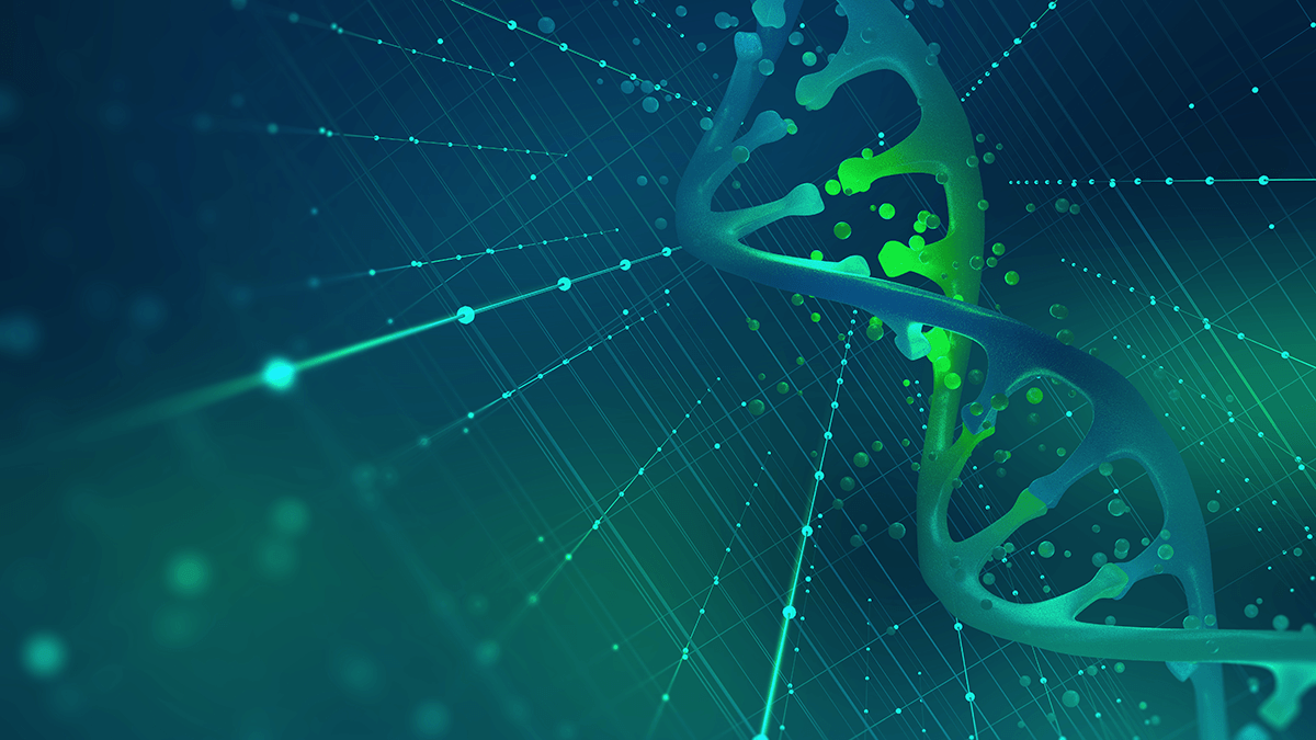 Programmable DNA CRISPR