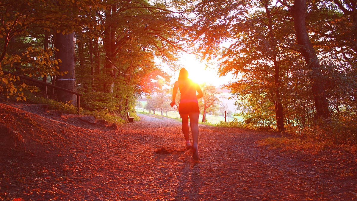 Sunlight Workout