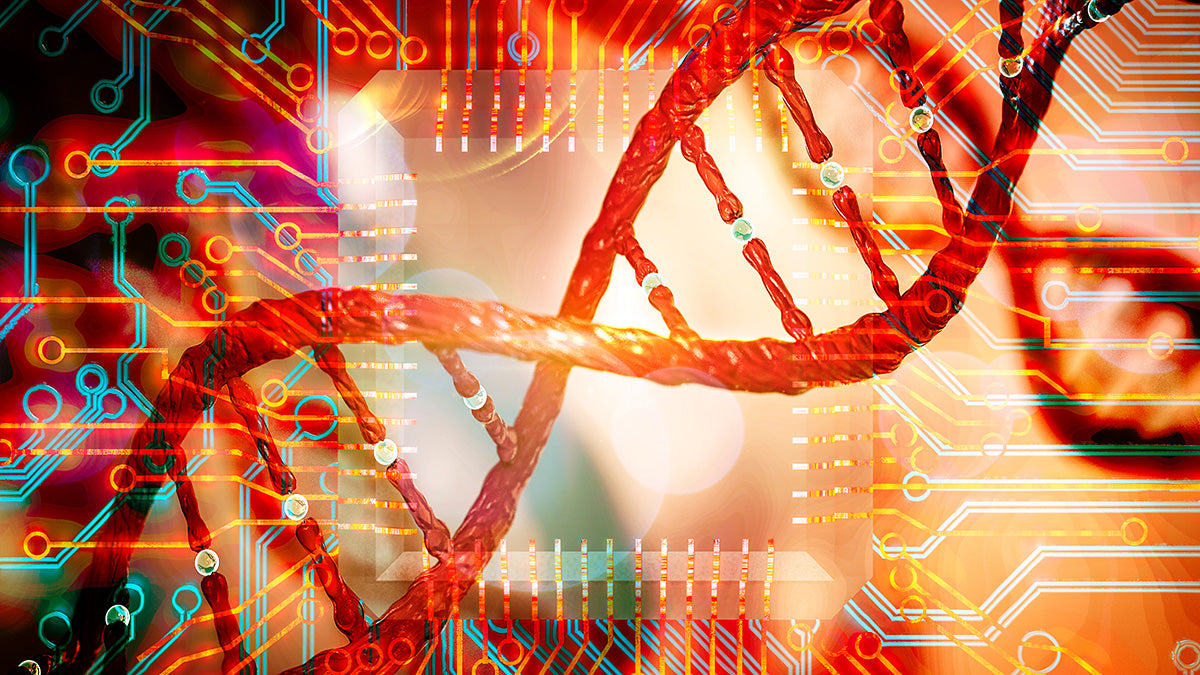 Synthetic Biology Circuit