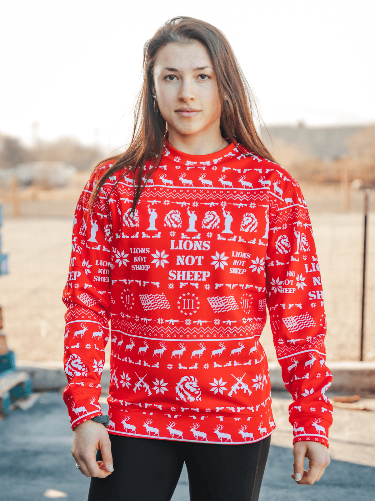 Detroit Lions Christmas Reindeer Pattern Ugly Sweater For Men Women -  Banantees