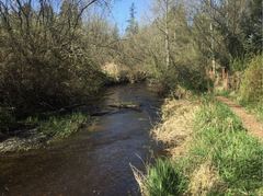 bear creek trail at kis farm