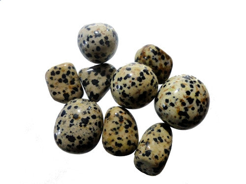 green dalmation jasper meaning