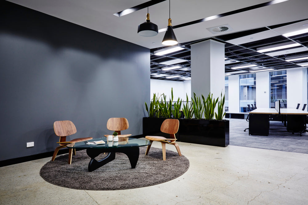 Area Rug Benefits and Uses in the Office | Urban 9-5