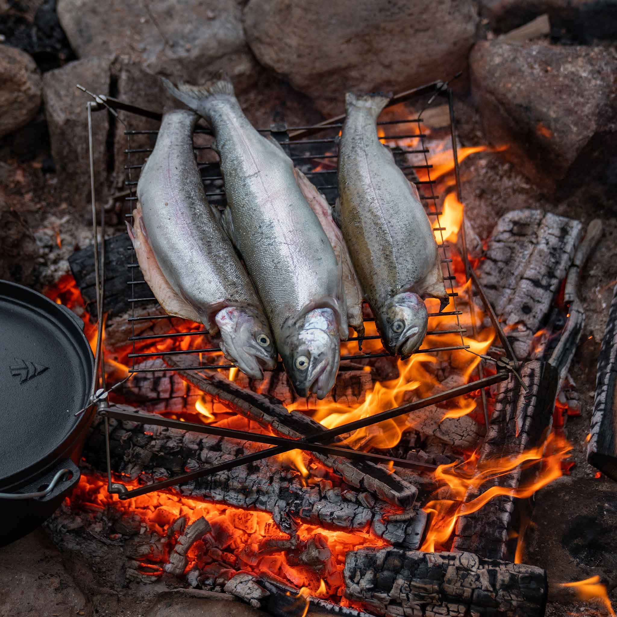 Cooking salmon campfire grill