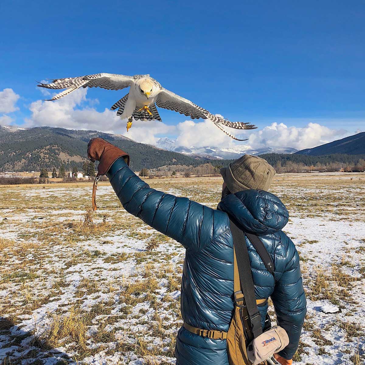 Hunting in the plains