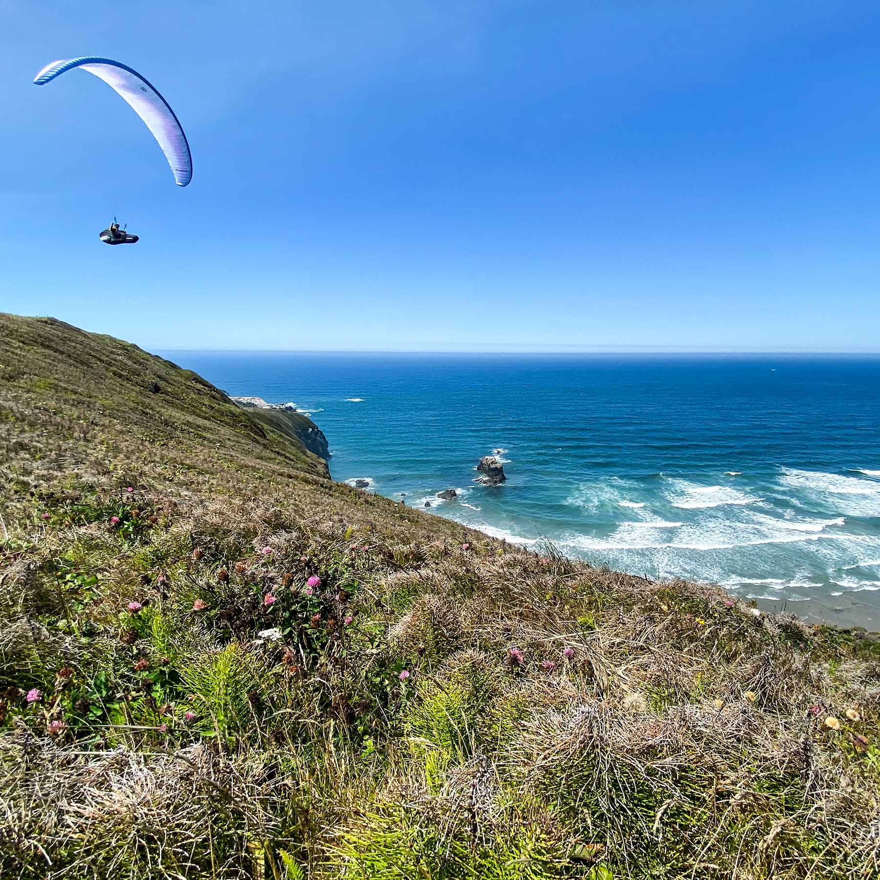 Paragliding over the pacific ocean