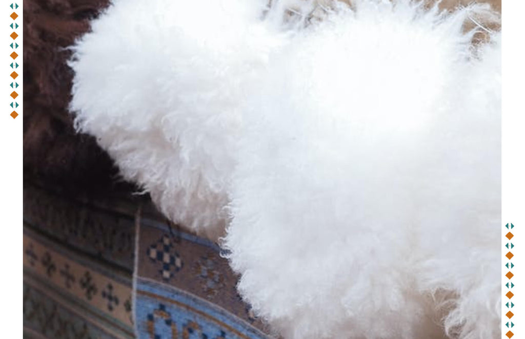 What is Angora Fabric