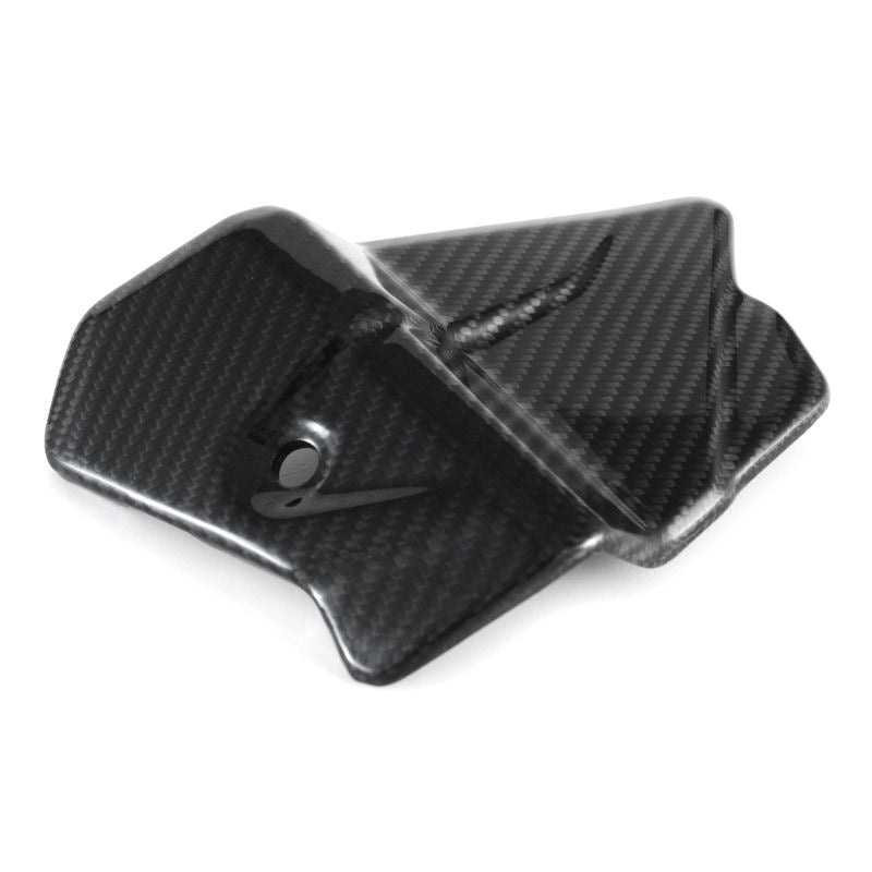 Fullsix Carbon Fiber Electronics Cover BMW S1000RR M1000RR K67 2020 ...