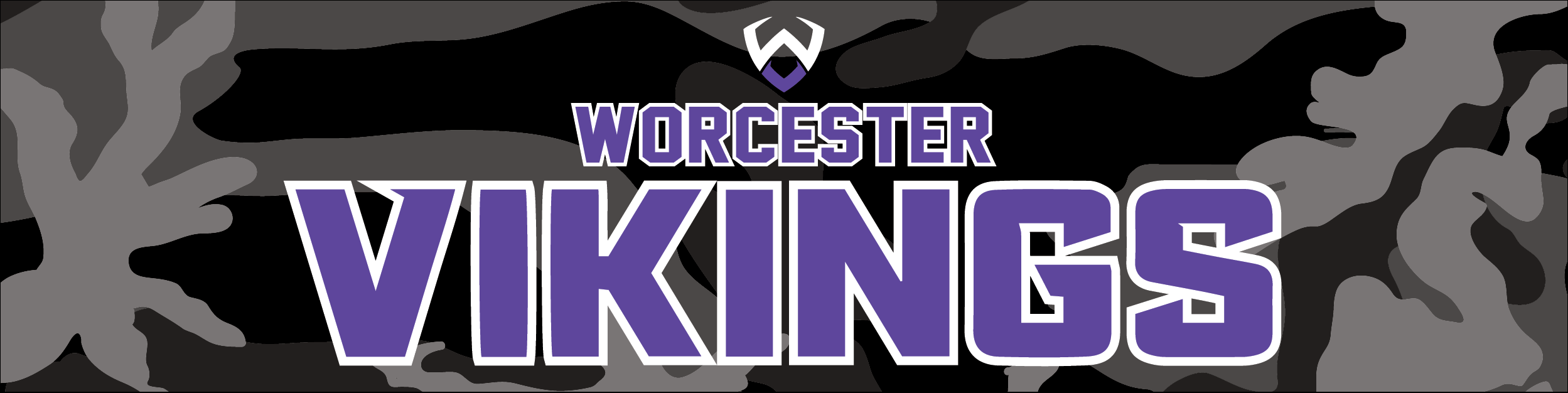 WORCESTER VIKINGS Sublimated Hoodie – EVO9XSTORE