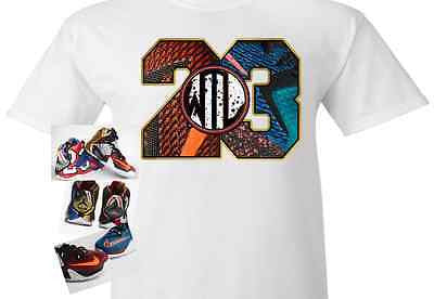 what the lebron 12 t shirt