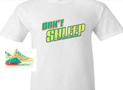 shirts that match lebron 12