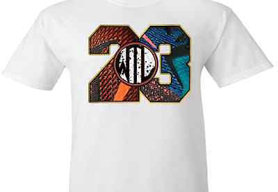 lebron 12 t shirts